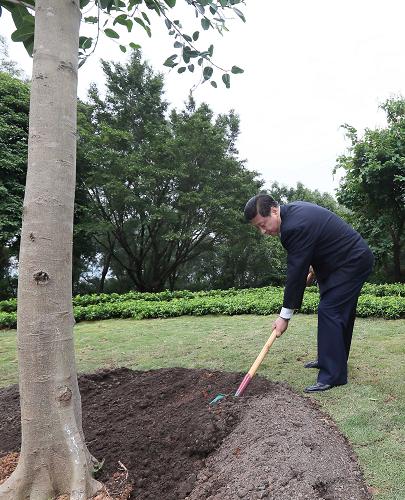2012年12月7日至11日，習(xí)近平在廣東省考察工作。這是8日上午，習(xí)近平在深圳蓮花山公園種下一棵高山榕樹。新華社記者 蘭紅光 攝