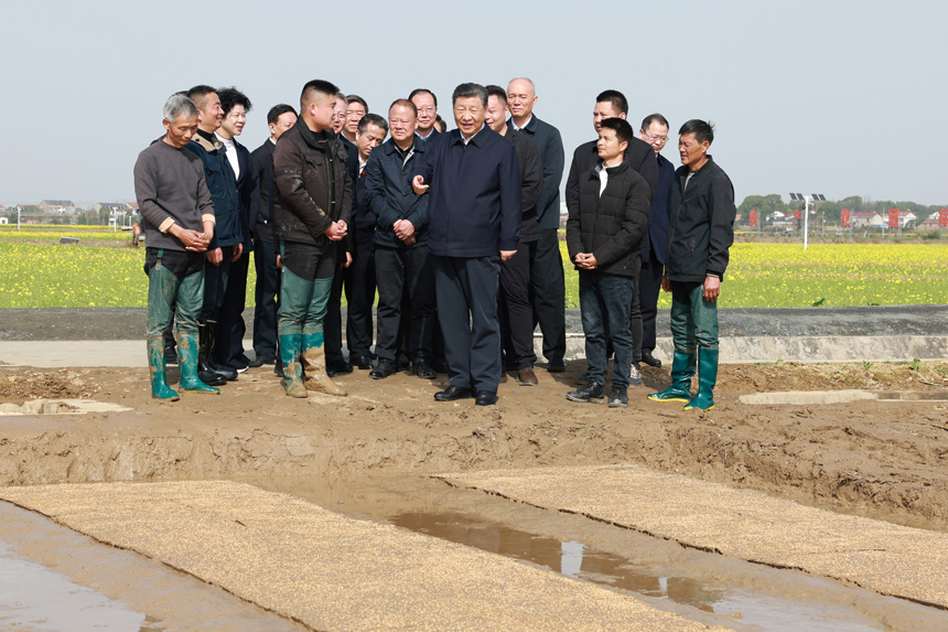 2024年3月18日至21日，中共中央總書(shū)記、國(guó)家主席、中央軍委主席習(xí)近平在湖南考察。這是19日下午，習(xí)近平在常德市鼎城區(qū)謝家鋪鎮(zhèn)港中坪村走進(jìn)田間，察看秧苗培育和春耕備耕進(jìn)展。新華社記者 王曄 攝